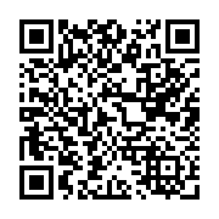QR code for L33171
