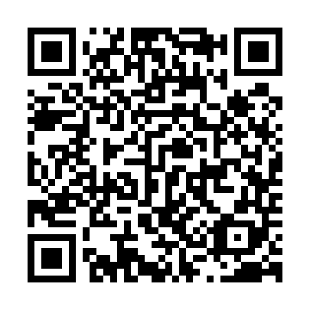 QR code for L33548