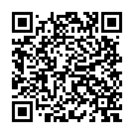 QR code for L33553
