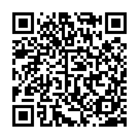 QR code for L33560