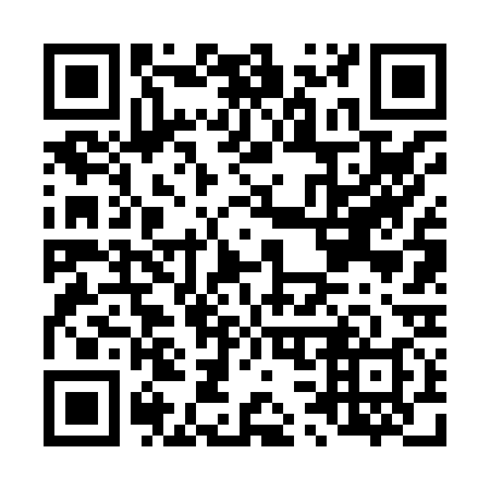 QR code for L36838