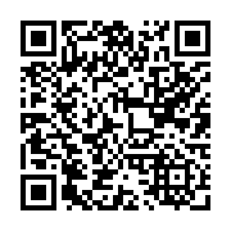 QR code for L36919