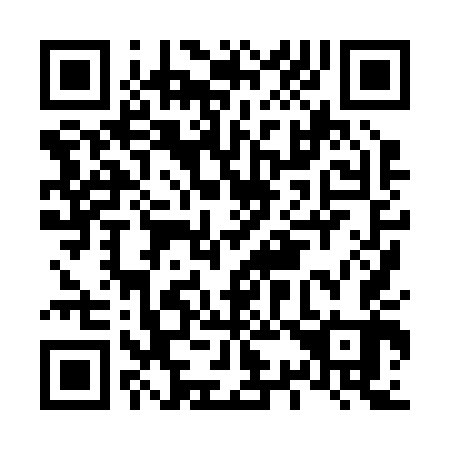 QR code for L38243