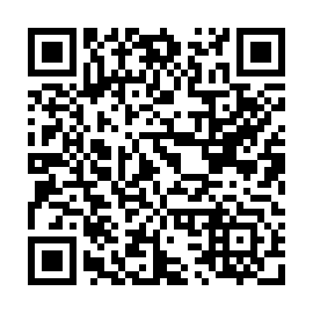 QR code for L38343