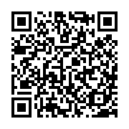 QR code for L38481
