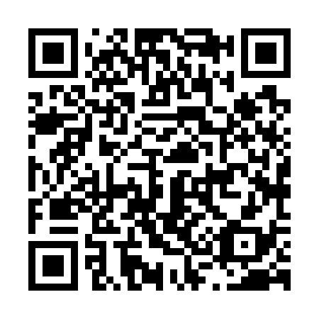 QR code for L38738