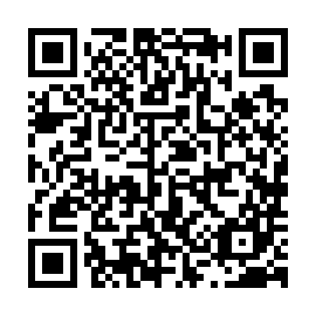 QR code for L38787