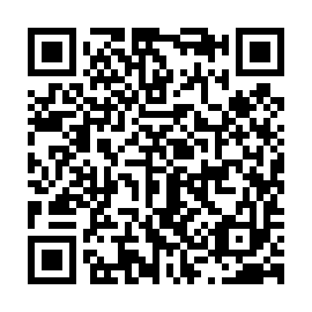 QR code for L39493