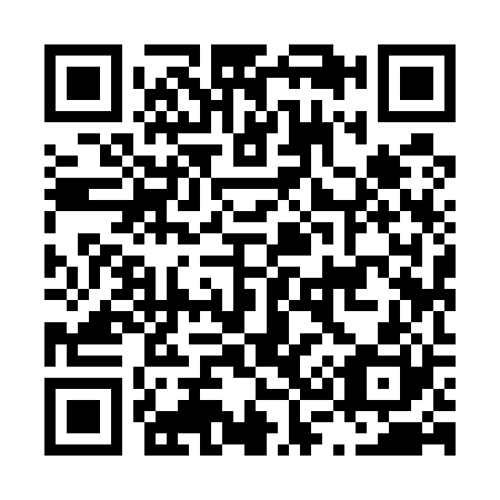 QR code for L39520