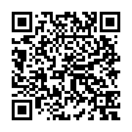 QR code for L39738