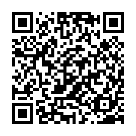 QR code for L41010