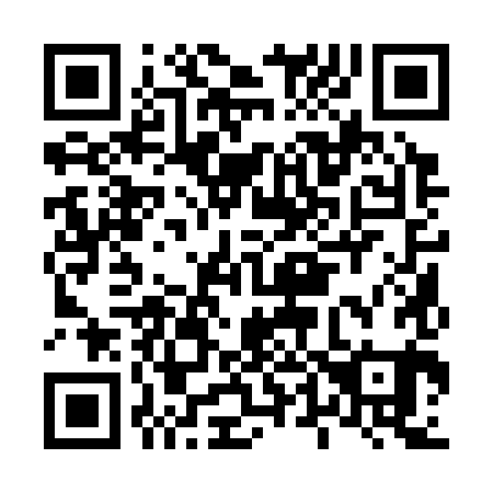 QR code for L41381