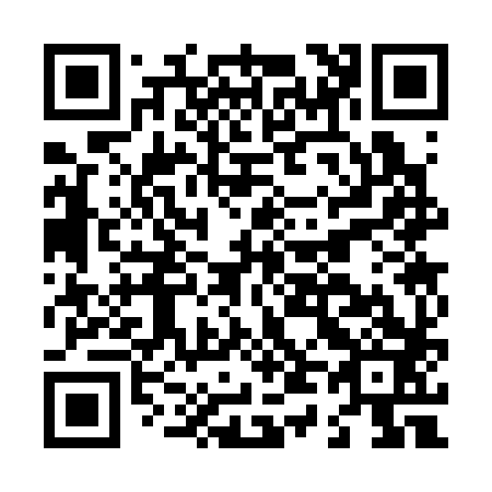 QR code for L43383