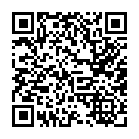 QR code for L45313