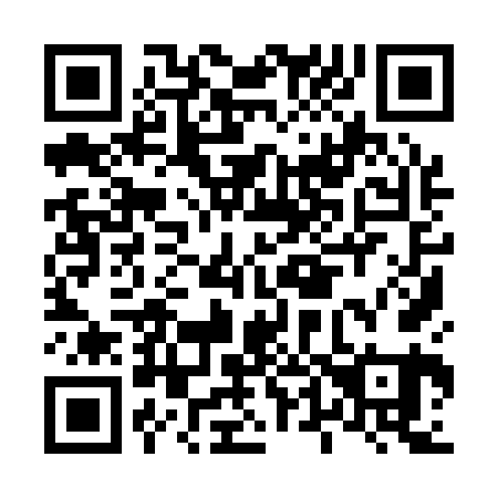 QR code for L49161