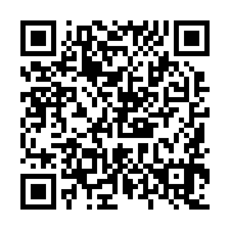 QR code for L49295