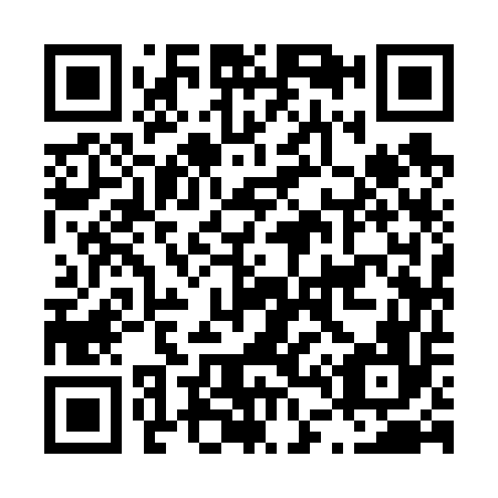 QR code for L49656