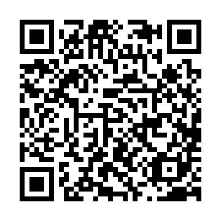 QR code for L50381