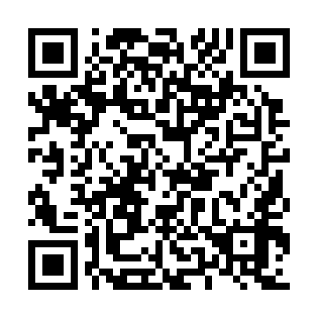 QR code for L51358