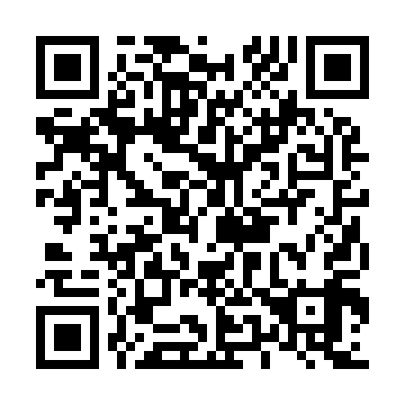 QR code for L52919