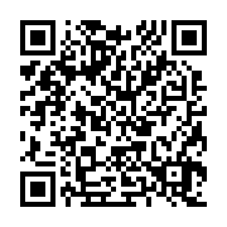 QR code for L53226