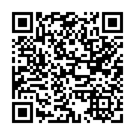 QR code for L53383
