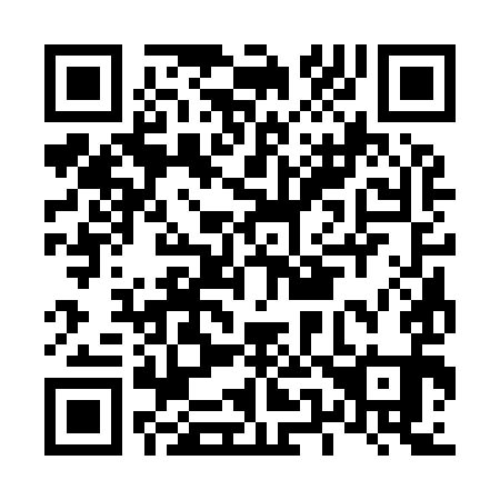 QR code for L53991