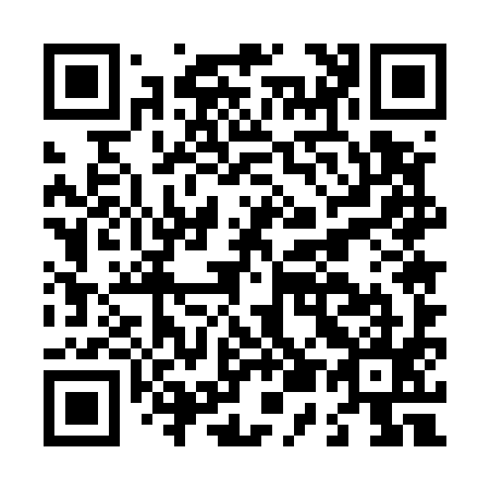 QR code for L55595