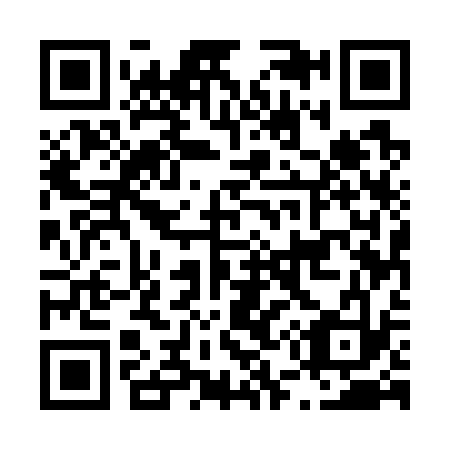 QR code for L55733