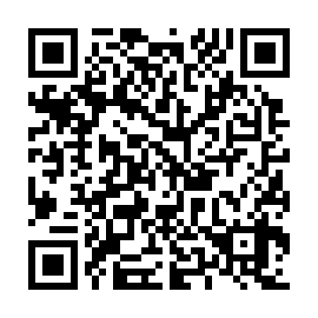 QR code for L56338