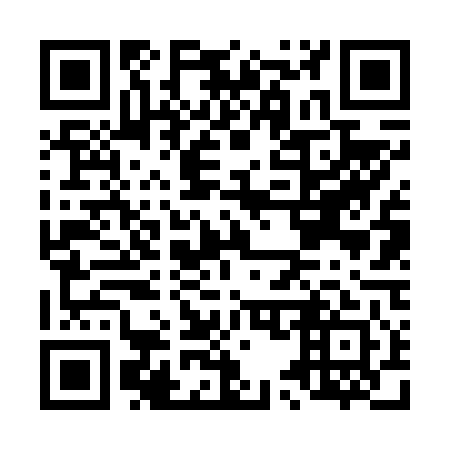 QR code for L56641