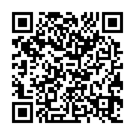 QR code for L57333