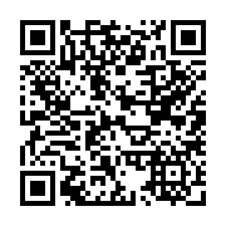 QR code for L57387