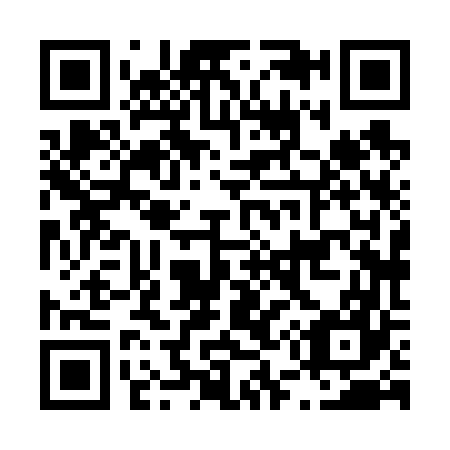 QR code for L58667