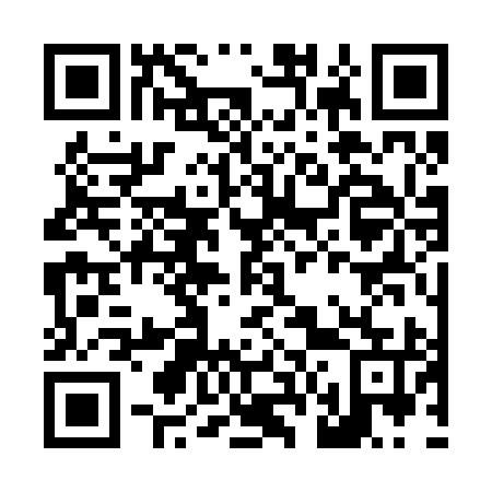QR code for L63295