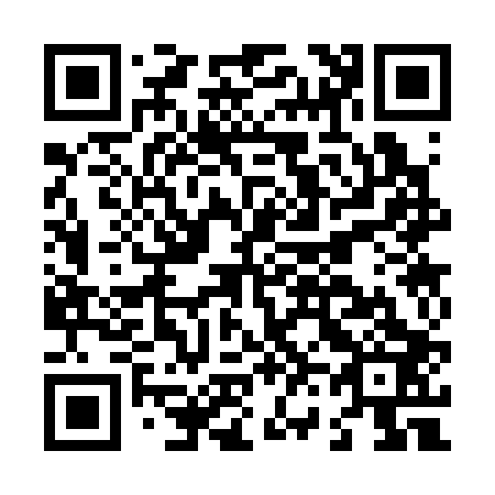 QR code for L63303
