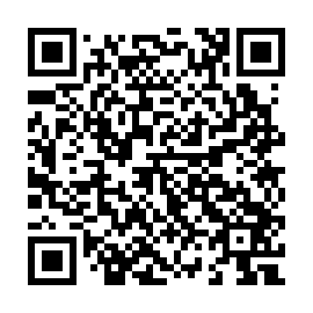 QR code for L63343