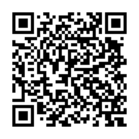 QR code for L63413