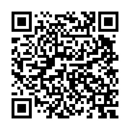 QR code for L63461