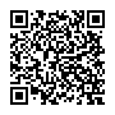 QR code for L63565