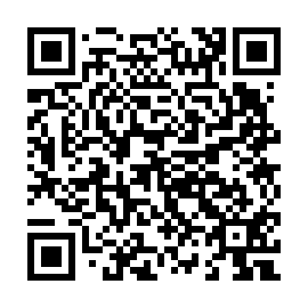 QR code for L63611