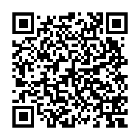 QR code for L63618