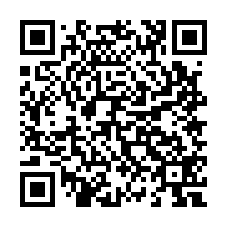 QR code for L65119