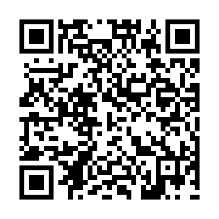 QR code for L65290