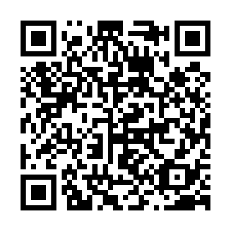 QR code for L65538