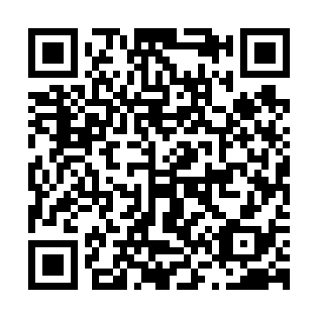 QR code for L65638