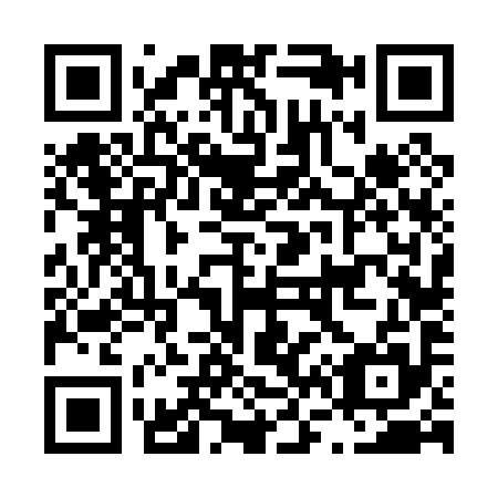 QR code for L66095