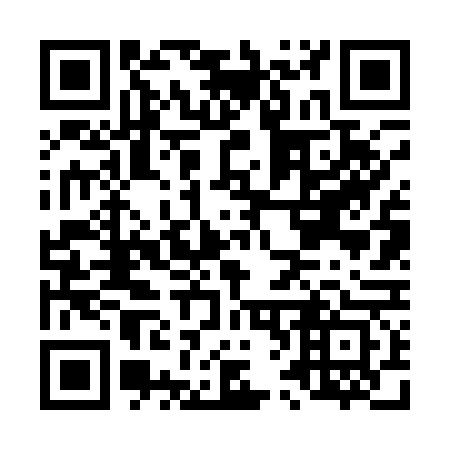 QR code for L66163