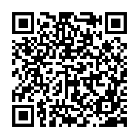QR code for L67166
