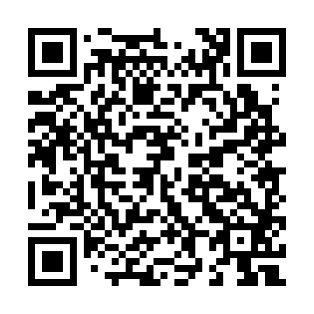 QR code for L80382